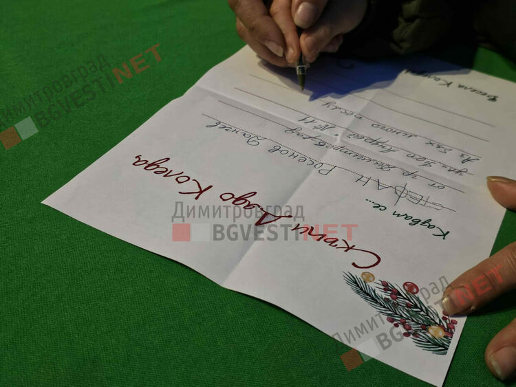 Грейнаха светлините на най-голямото живо Коледно дърво в Европа 