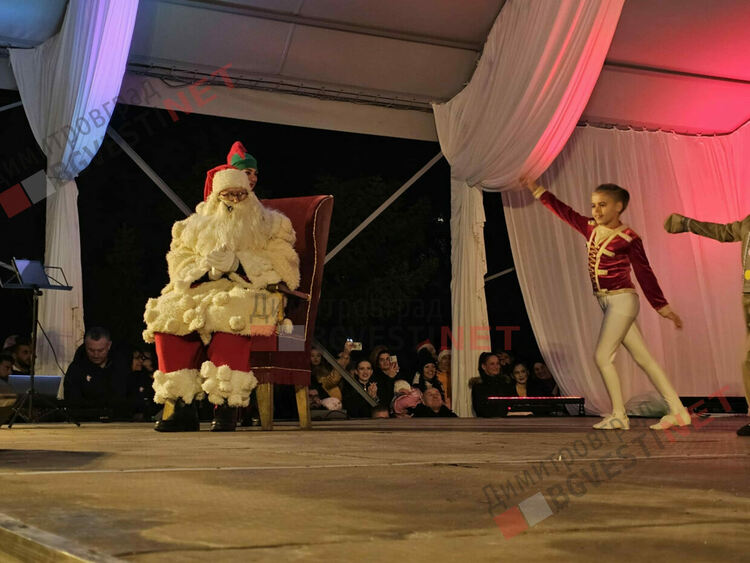 Грейнаха светлините на най-голямото живо Коледно дърво в Европа 