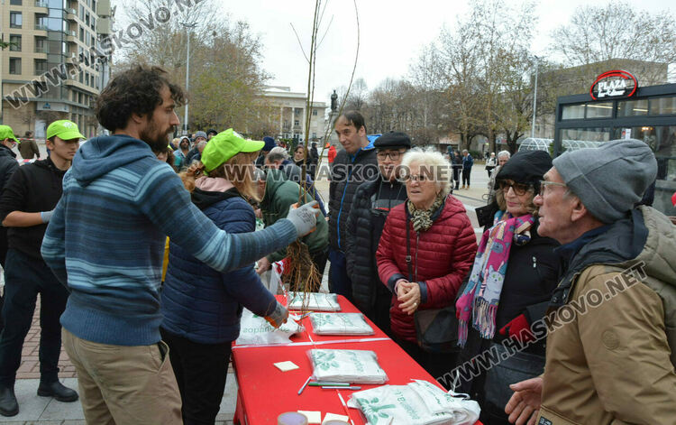 Хасковлии извиха опашка за раздаването на 20 000 дръвчета