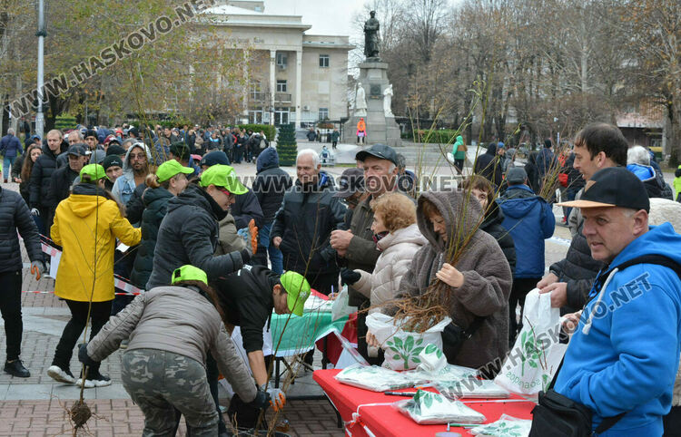 Хасковлии извиха опашка за раздаването на 20 000 дръвчета