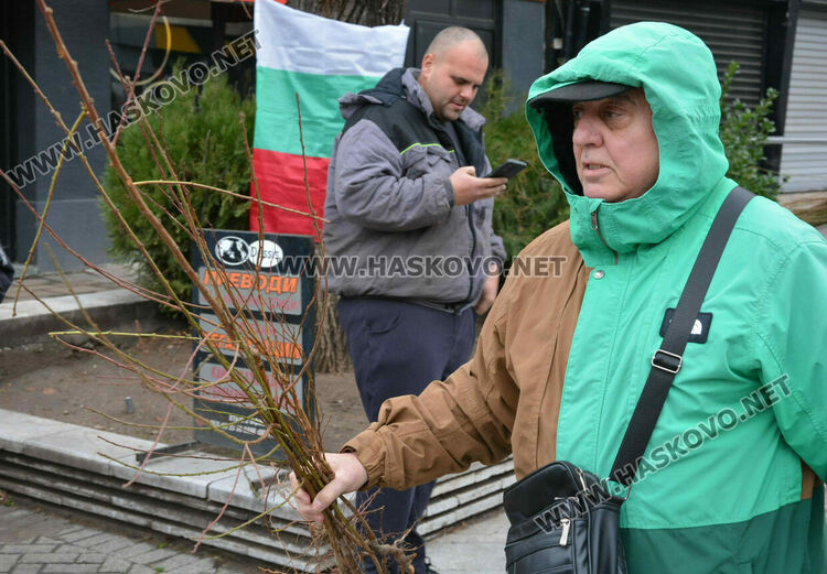 Хасковлии извиха опашка за раздаването на 20 000 дръвчета