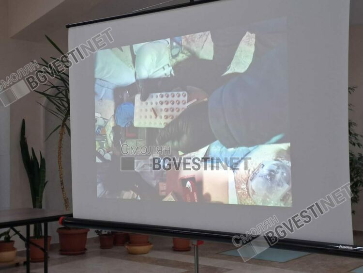 244 пистолета и 30 пушки иззети при специализирана акция на прокуратурата и ГДБОП; задържан е мъж от село Чепинци