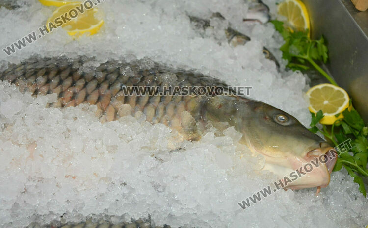 Масови проверки в магазините за риба преди Никулден в Хасково