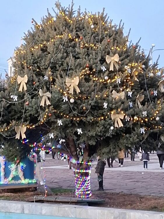 В Дълбок извор поставиха началото на сезона на коледните вълшебства