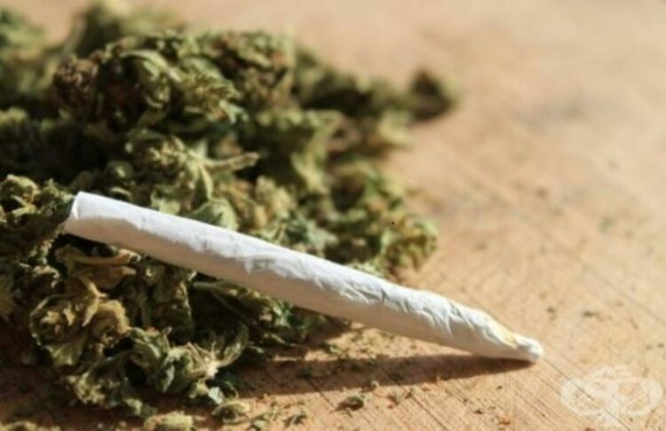 Хванаха шофьор с 10 сгъвки чай за пушене в колата