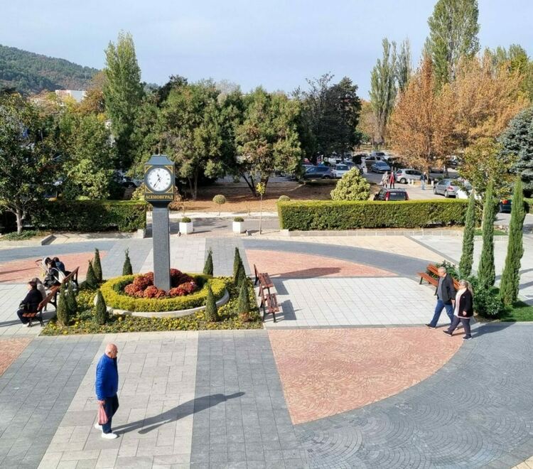 Гората.бг подарява 18 000 дръвчета на асеновградчани 