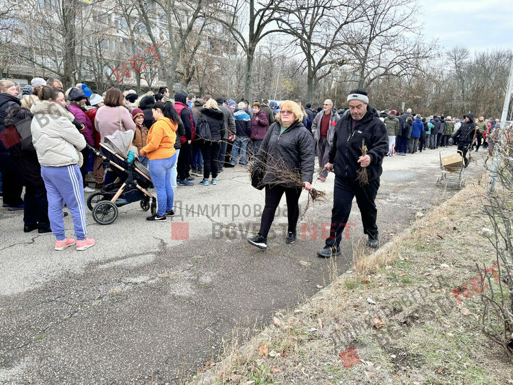 Гората.бг подариха хиляди дръвчета на димитровградчани