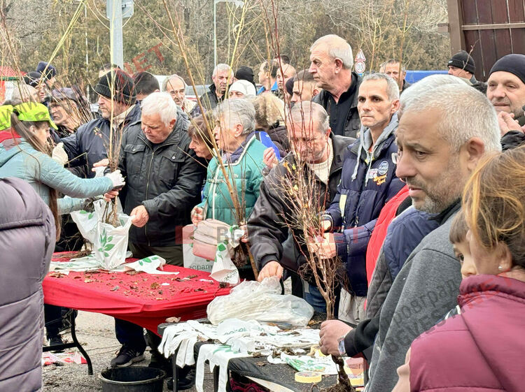 Гората.бг подариха хиляди дръвчета на димитровградчани