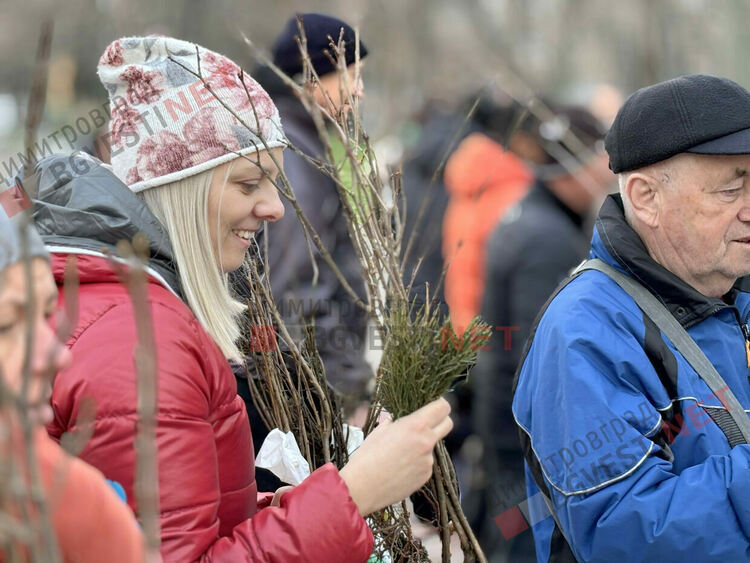 Гората.бг подариха хиляди дръвчета на димитровградчани