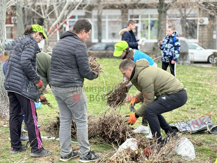 Гората.бг подариха хиляди дръвчета на димитровградчани