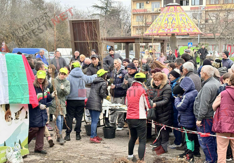 Гората.бг подариха хиляди дръвчета на димитровградчани