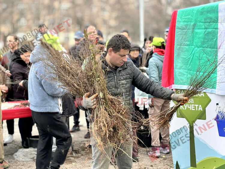 Гората.бг подариха хиляди дръвчета на димитровградчани