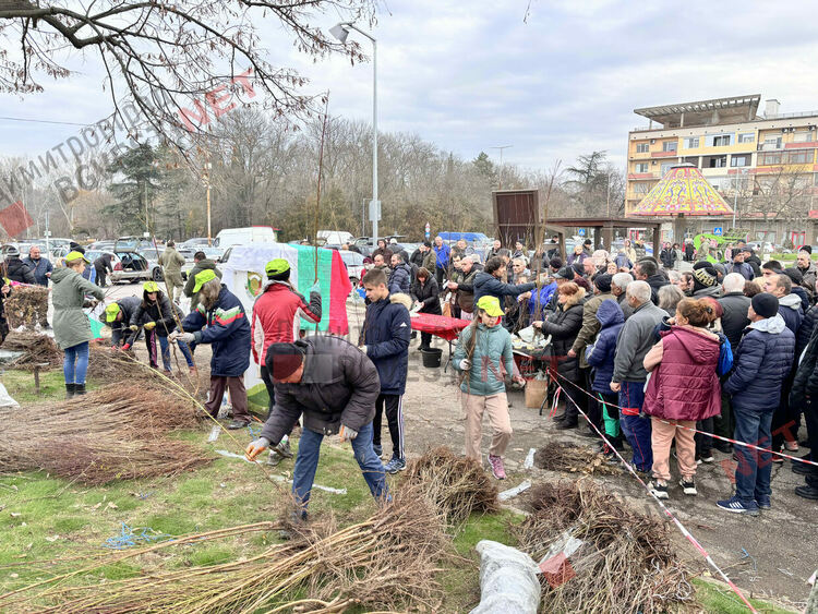 Гората.бг подариха хиляди дръвчета на димитровградчани