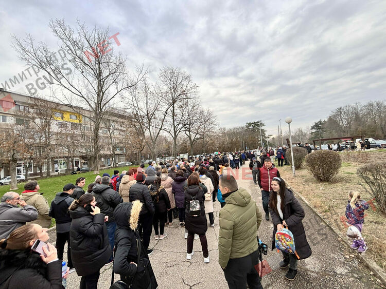 Гората.бг подариха хиляди дръвчета на димитровградчани