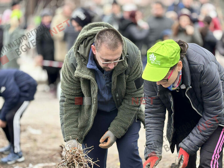 Гората.бг подариха хиляди дръвчета на димитровградчани