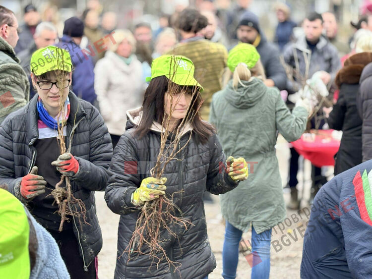 Гората.бг подариха хиляди дръвчета на димитровградчани