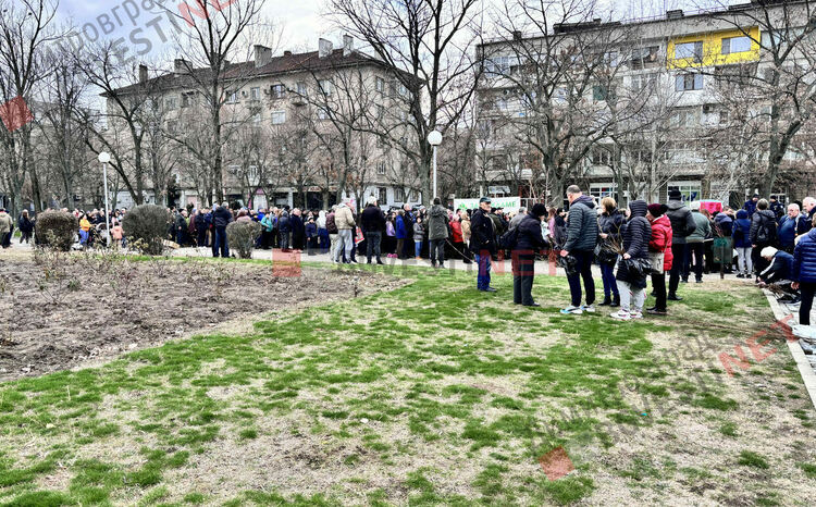 Гората.бг подариха хиляди дръвчета на димитровградчани