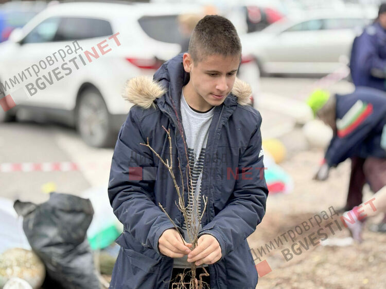 Гората.бг подариха хиляди дръвчета на димитровградчани