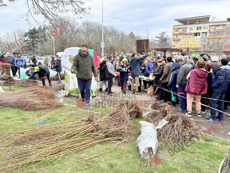 Гората.бг подариха хиляди дръвчета на димитровградчани