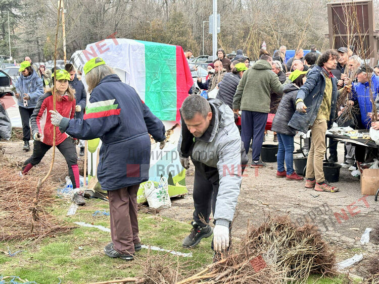 Гората.бг подариха хиляди дръвчета на димитровградчани