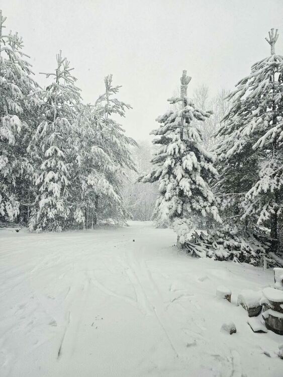 Сняг вали над село Орешец, бъдете внимателни!