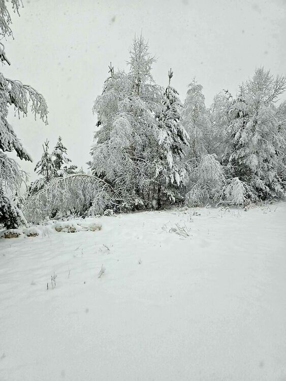 Сняг вали над село Орешец, бъдете внимателни!