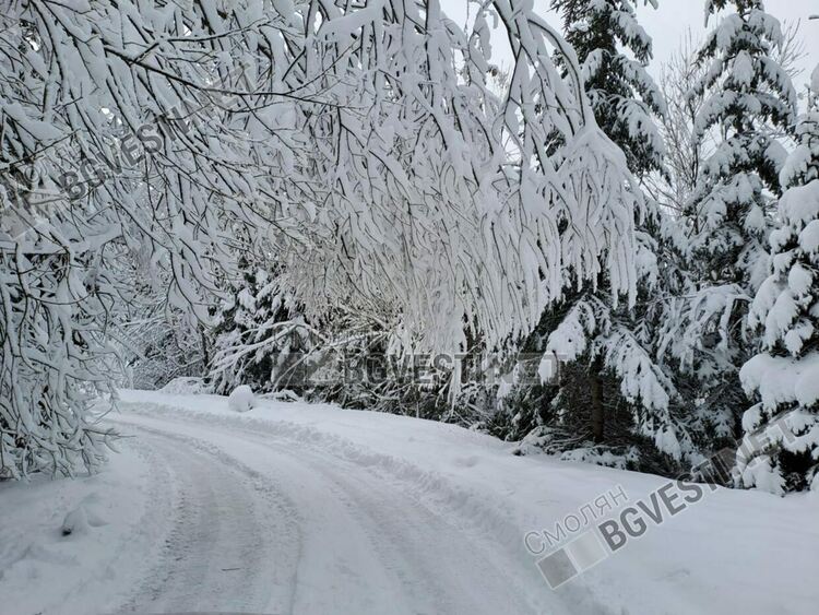 Над 10 см е новата снежна покривка в Смолянско, дежурни екипи реагираха на множество сигнали за паднали дървета и камъни