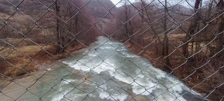 Родопчани обединиха хора и институции и отремонтираха въжения мост в с. Смилян