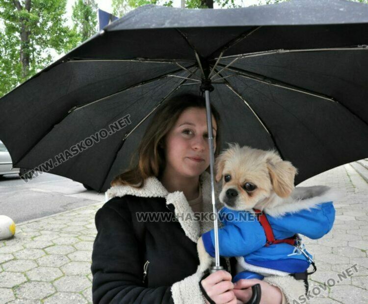 Оранжев код за силни валежи от дъжд в Свиленград и Минерални бани