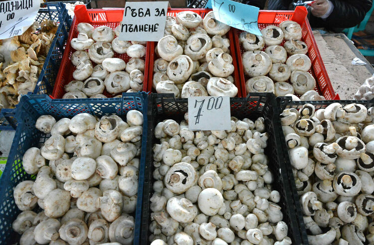 Хасковлии масово тръгнаха на пазар