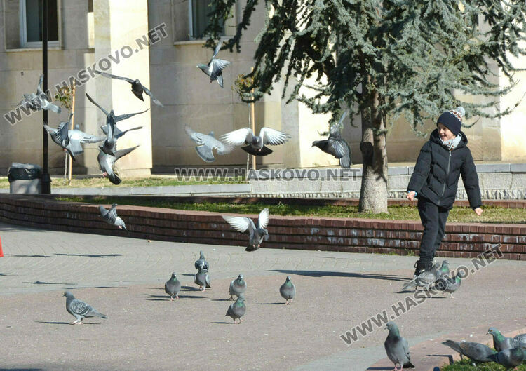 Изпращаме годината със слънце и малко облаци