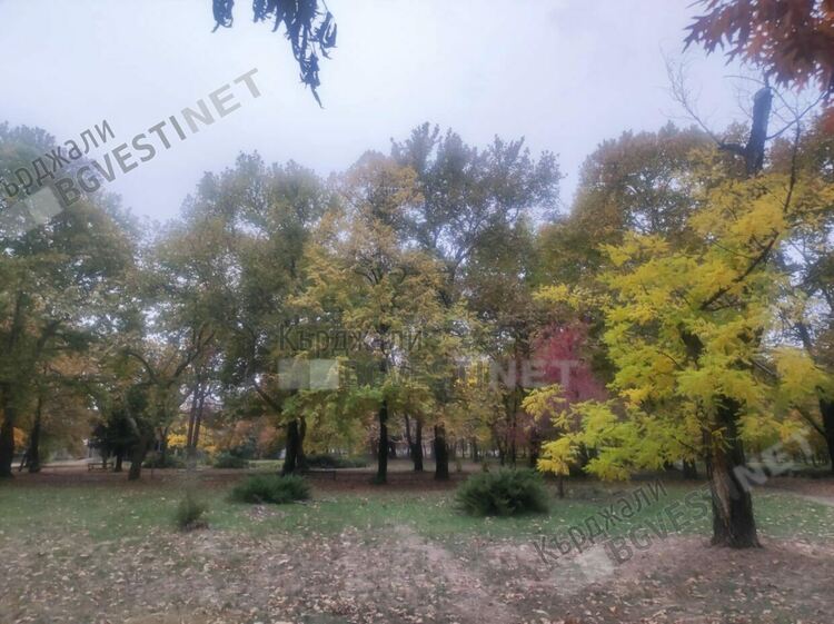 Предимно слънчево и без валежи днес в Кърджали