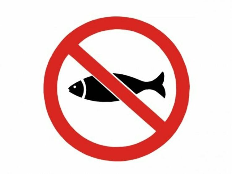 Забраниха риболова в 18 речни участъка и 3 водоема в област Смолян