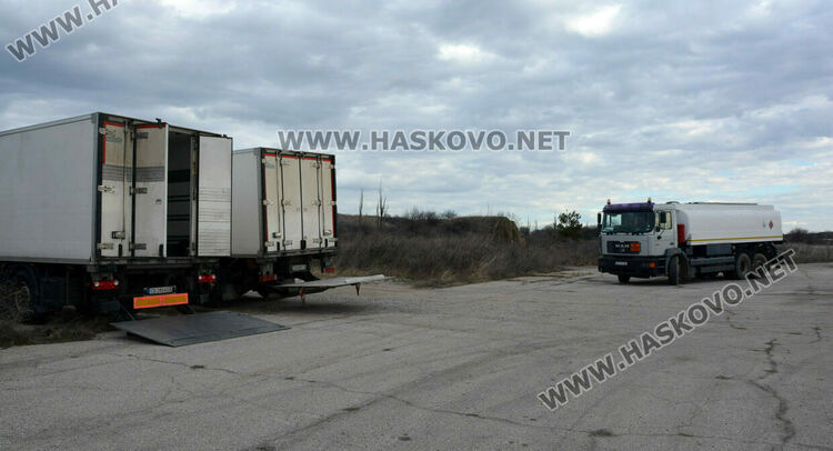 Ваксинират лисиците срещу бяс. Самолетите излизат от летище „Узунджово“