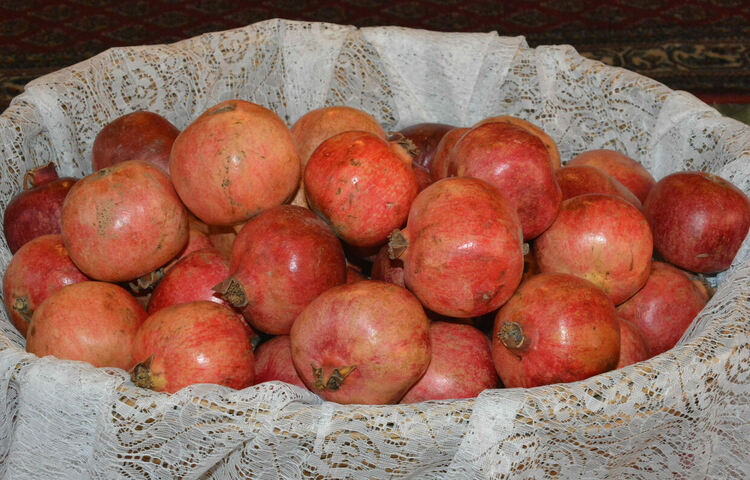 Арменският свят празнува Коледа