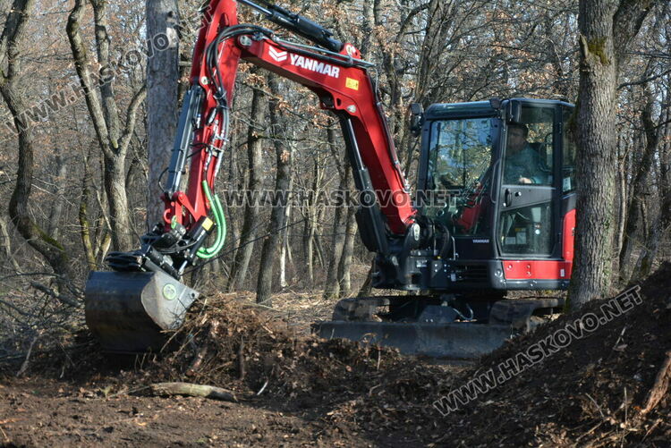 Започна разчистване на езерото в „Кенана“ и терена край него