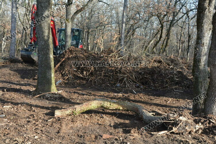 Започна разчистване на езерото в „Кенана“ и терена край него