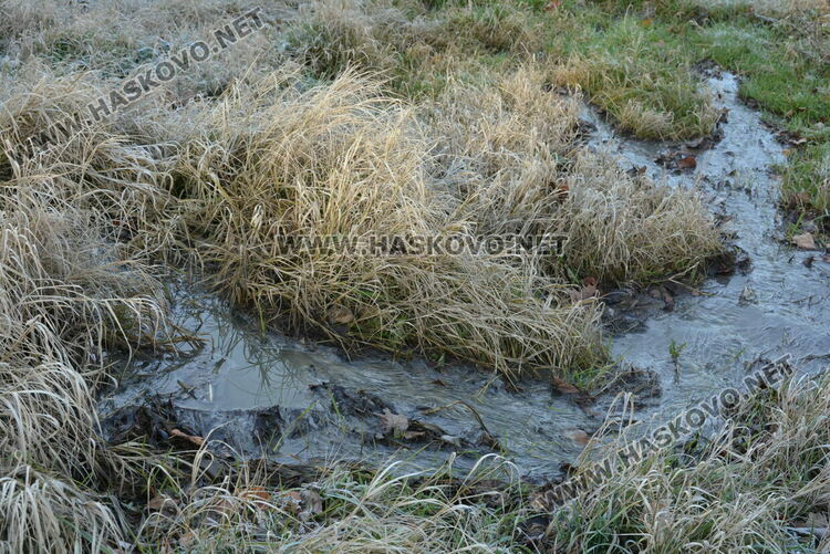 Хасковлии се жалваха от течаща воняща вода в „Орфей“