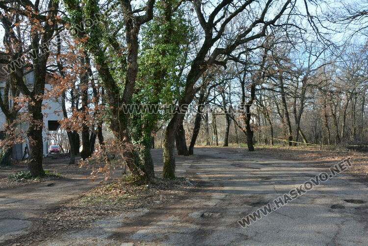 Започна разчистване на езерото в „Кенана“ и терена край него