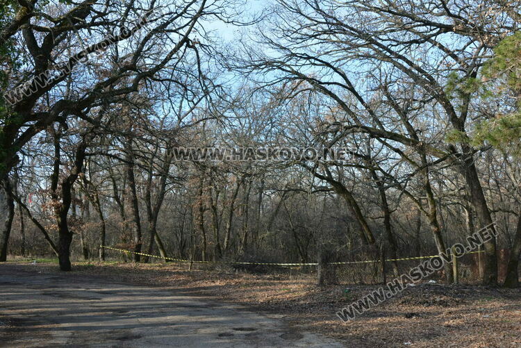 Започна разчистване на езерото в „Кенана“ и терена край него