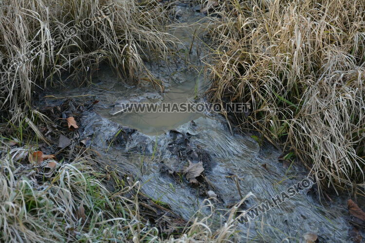 Хасковлии се жалваха от течаща воняща вода в „Орфей“