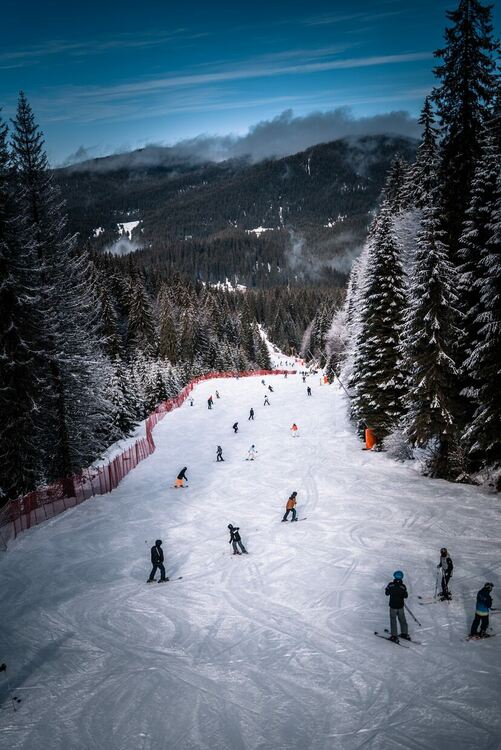 Пампорово с отлични условия през януари (Галерия)