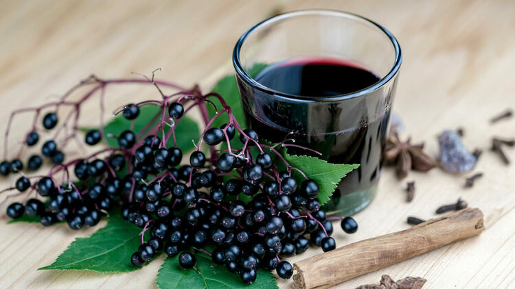 Сокът от черен бъз помага за контрол на телесното тегло, показва проучване