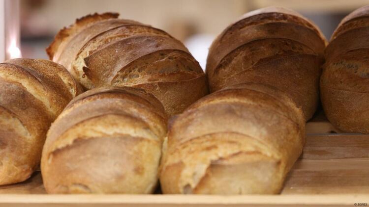 Цената на хляба отново е предмет на спекулации и популизъм