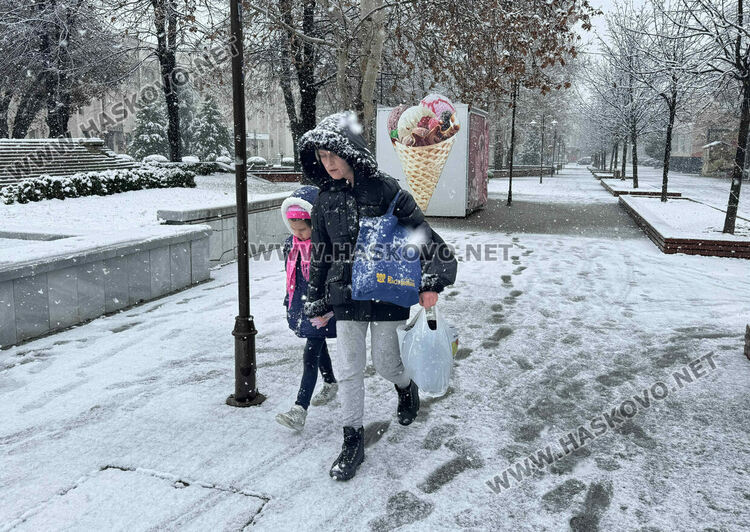 Жълт код за обилен сняг днес