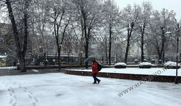 Жълт код за обилен сняг днес