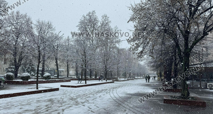 Жълт код за обилен сняг днес