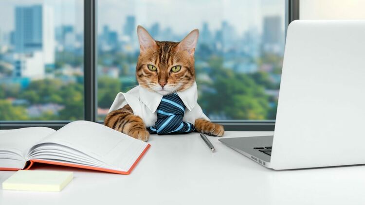 5 изречения, които използват всеки ден на работа в най-щастливата страна