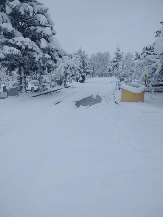Хасковлии: Централният гробищен парк не бе почистен от снега тази сутрин 