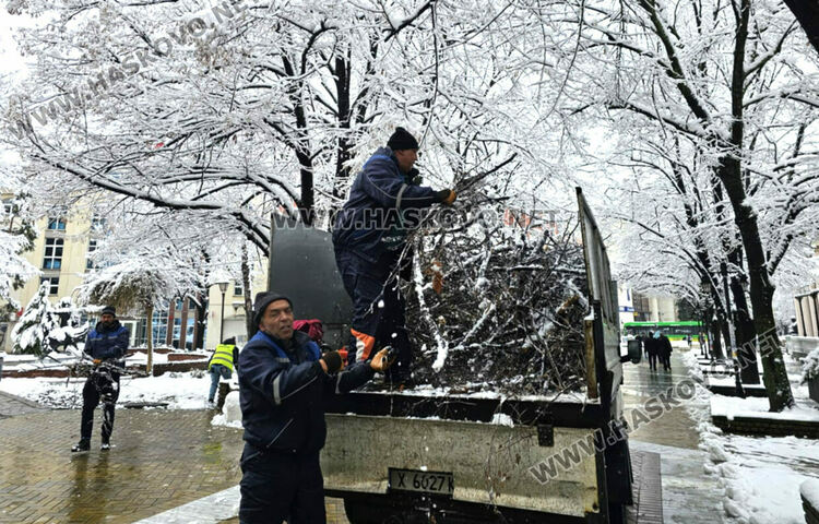Почистиха центъра на Хасково от сняг и паднали клони